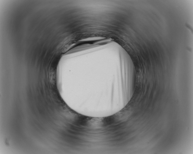 X0000095550138200801111502