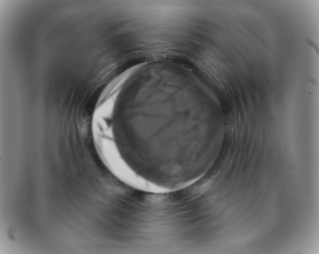 X0000095550139200801111502