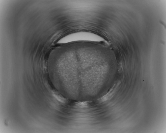 X0000095550140200801111502