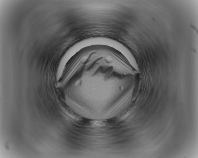 X0000095550141200801111502