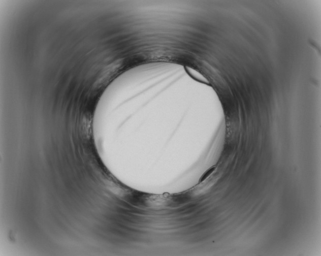 X0000095550142200801111502