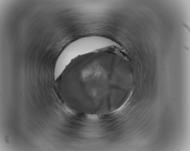 X0000095550144200801111502