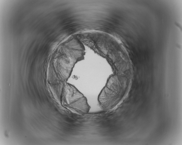 X0000095550145200801111501