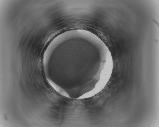 X0000095550146200801111501