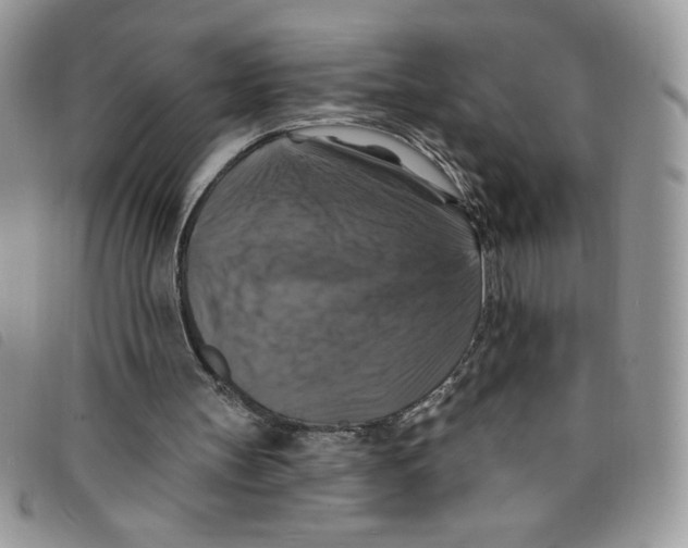 X0000095550147200801111501