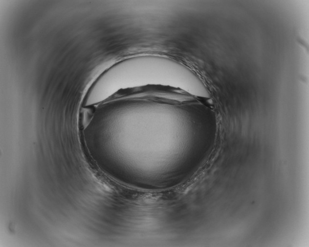 X0000095550148200801111501