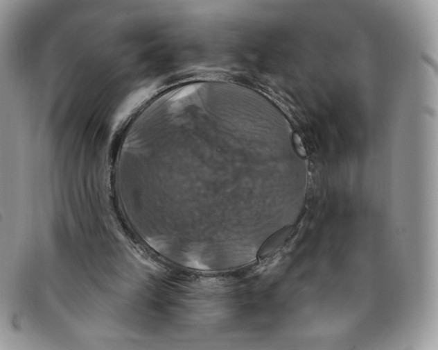 X0000095550149200801111501