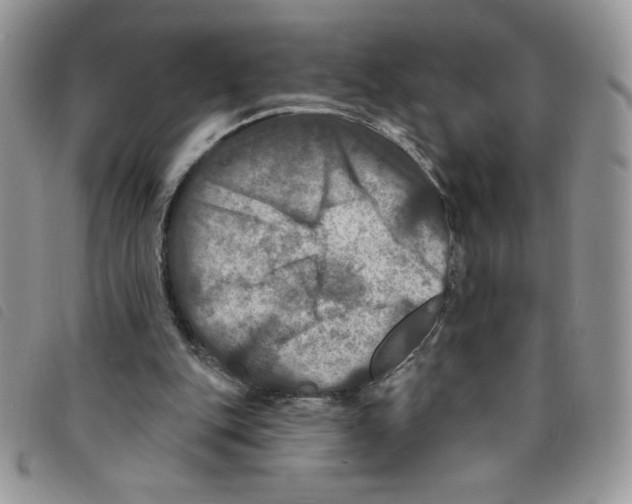 X0000095550151200801111501