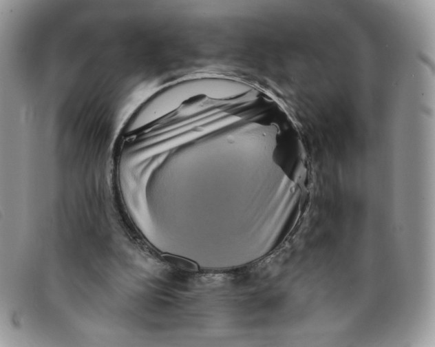 X0000095550152200801111501