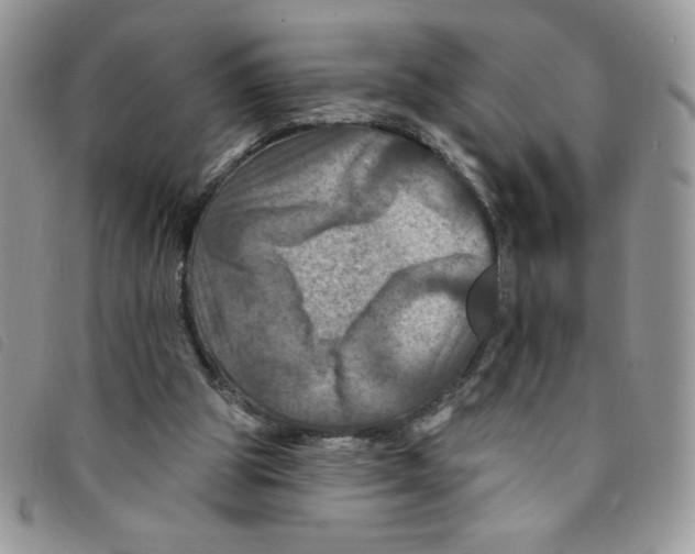 X0000095550153200801111501