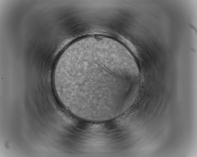 X0000095550155200801111501