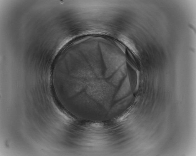 X0000095550156200801111501