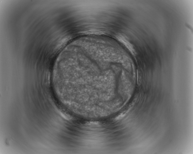 X0000095550157200801111501