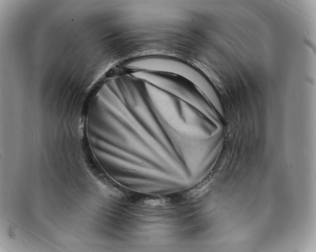 X0000095550160200801111501