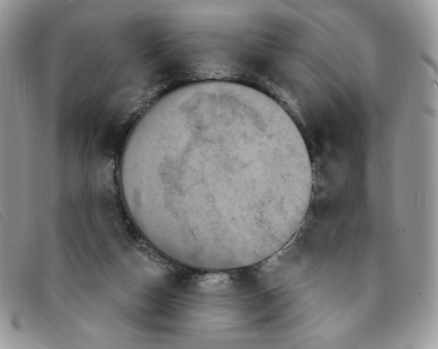 X0000095550162200801111501