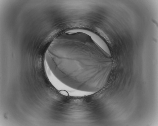 X0000095550163200801111501