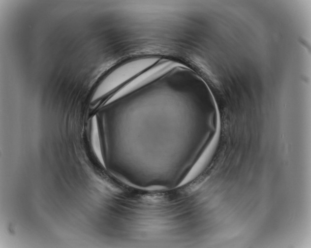 X0000095550164200801111501