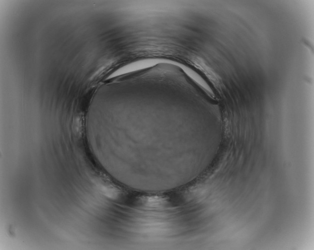 X0000095550165200801111501