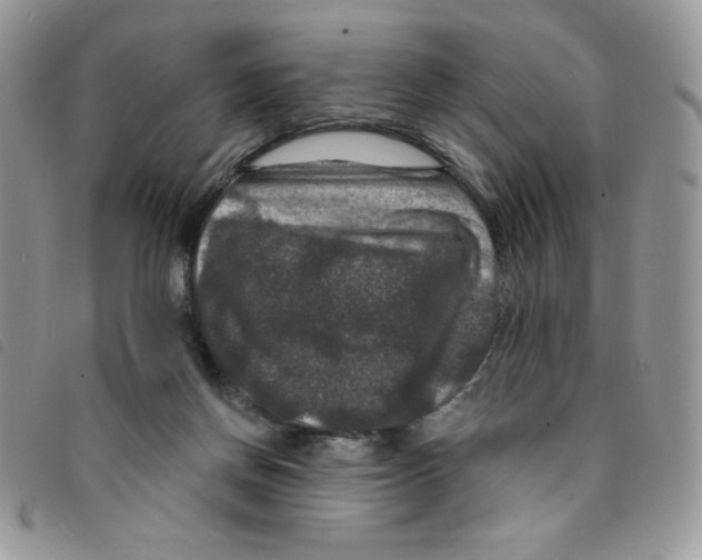 X0000095550166200801111501