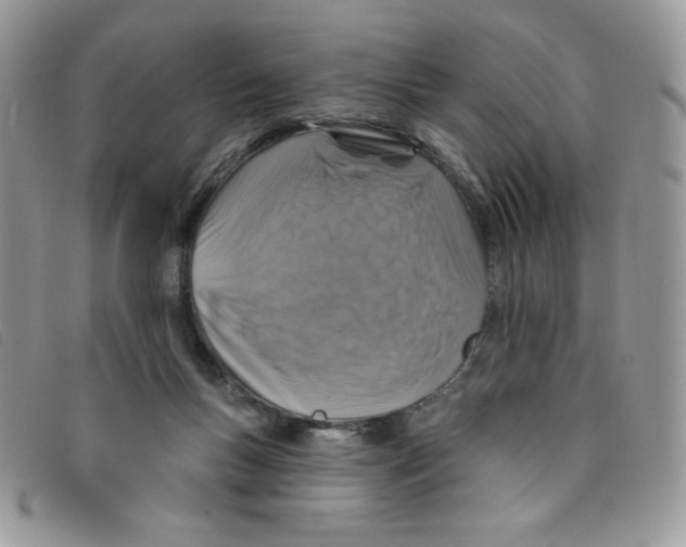 X0000095550167200801111501