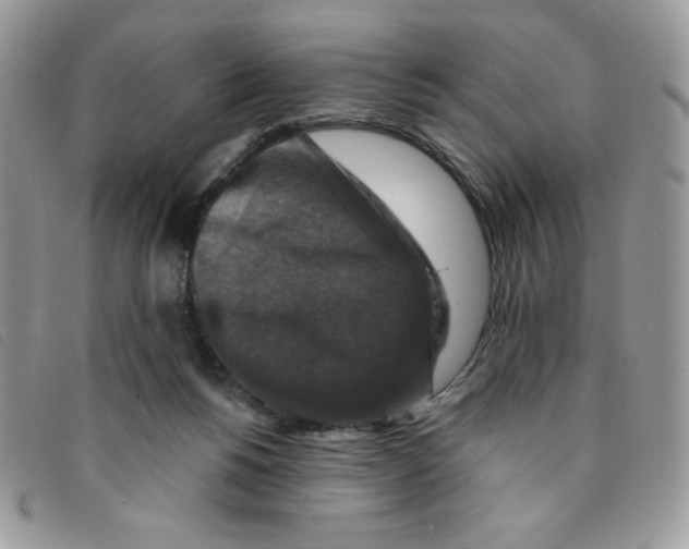 X0000095550168200801111501