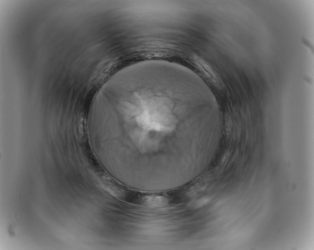 X0000095550169200801111501