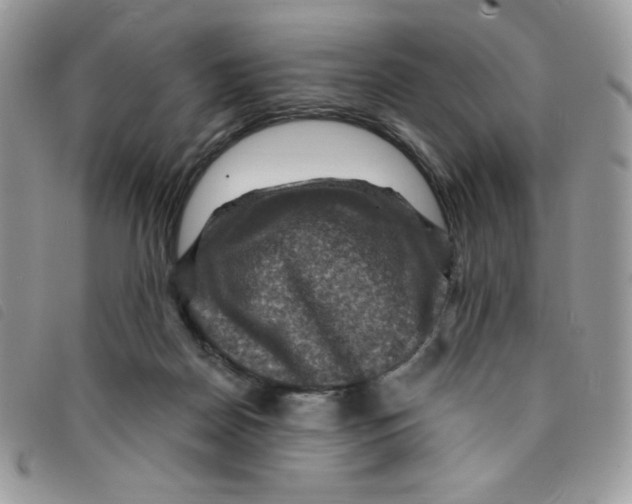 X0000095550170200801111501