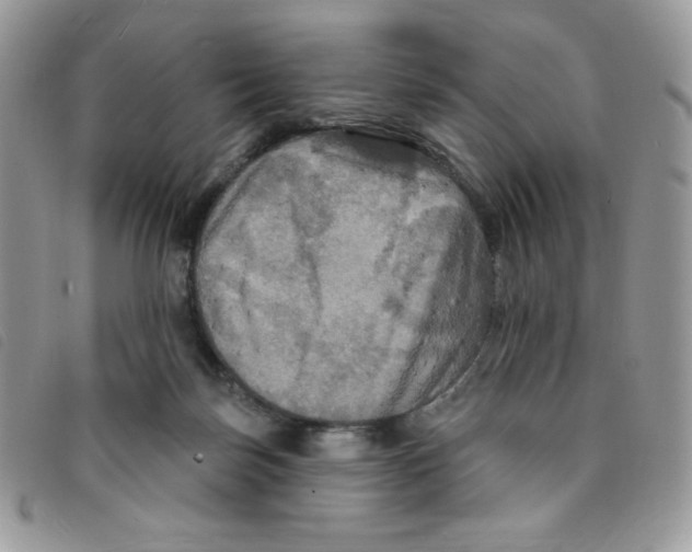 X0000095550171200801111501