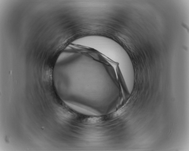 X0000095550172200801111501