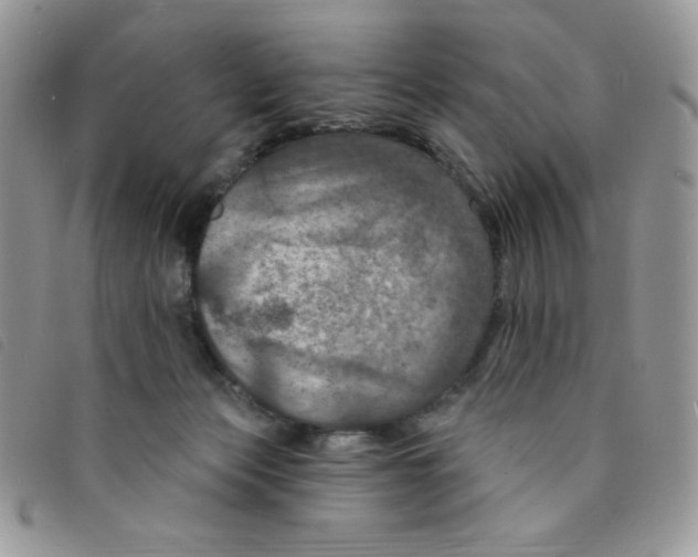 X0000095550173200801111501