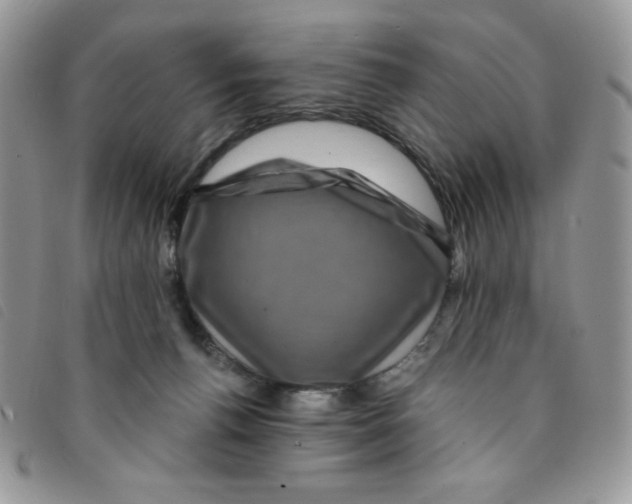 X0000095550176200801111501