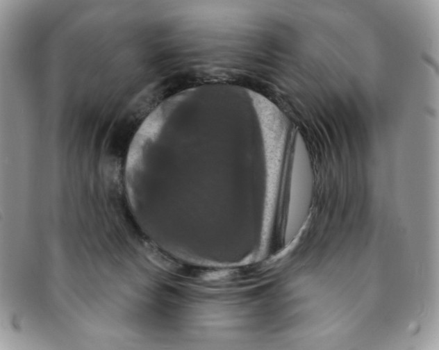 X0000095550178200801111501