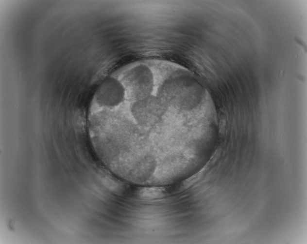 X0000095550179200801111501