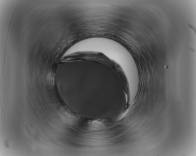 X0000095550180200801111501