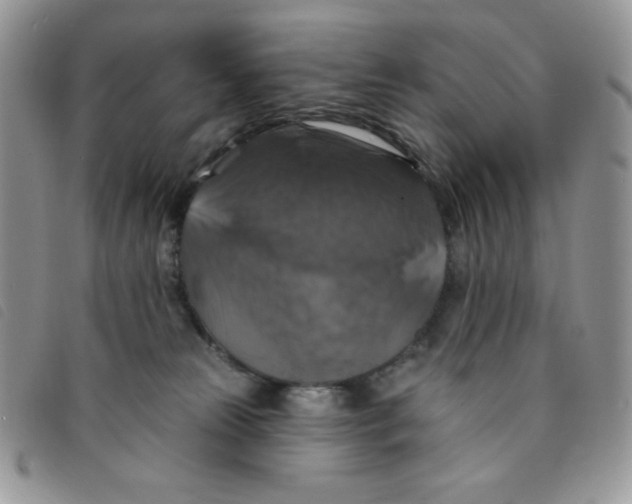 X0000095550181200801111501