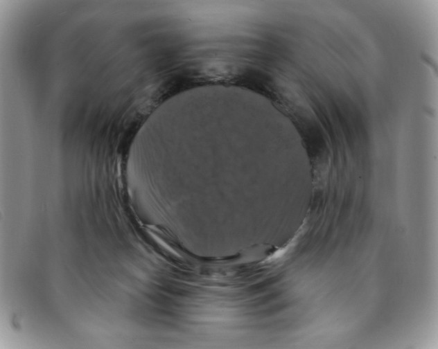 X0000095550182200801111501