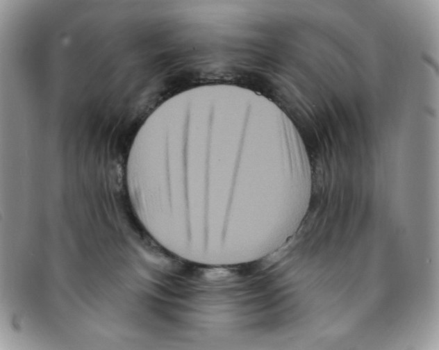 X0000095550183200801111501