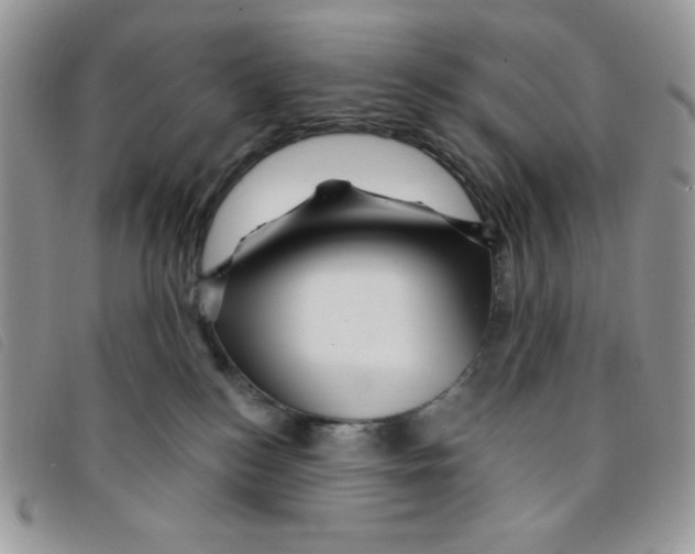 X0000095550184200801111501