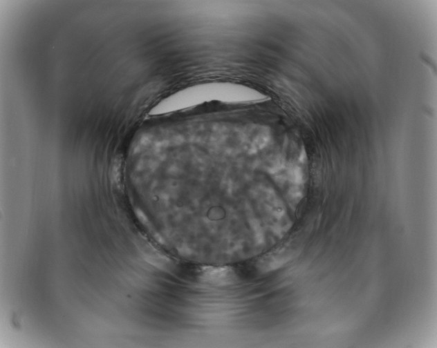 X0000095550185200801111501