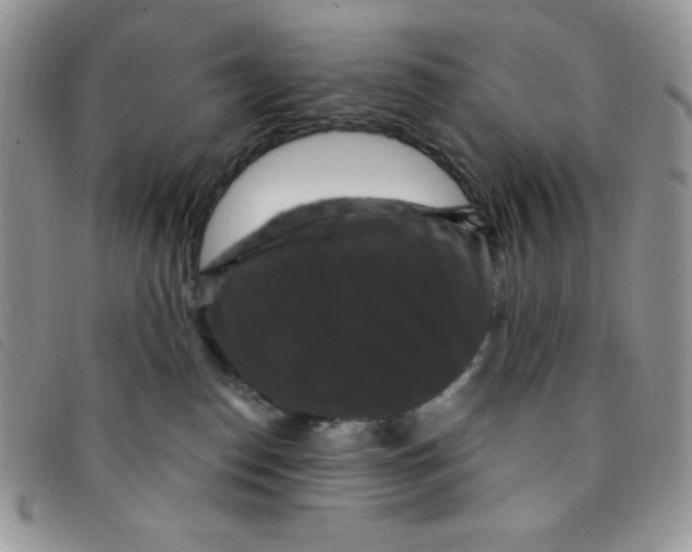 X0000095550186200801111502