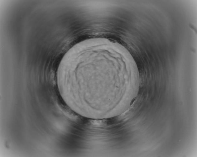 X0000095550187200801111502