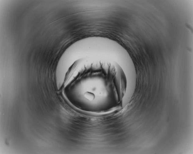 X0000095550188200801111502