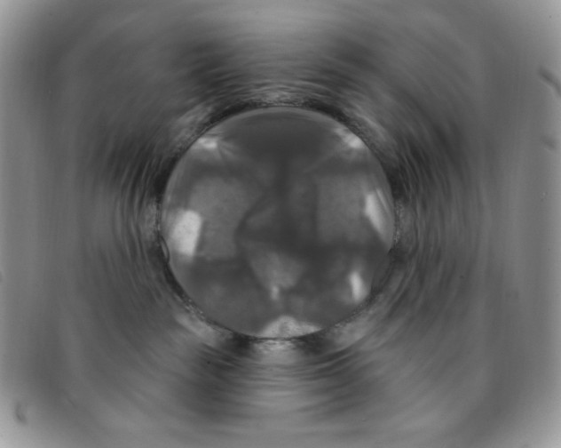 X0000095550189200801111502