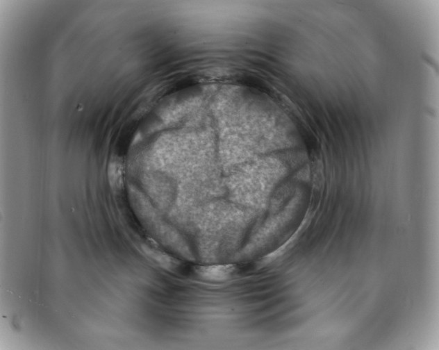 X0000095550191200801111502