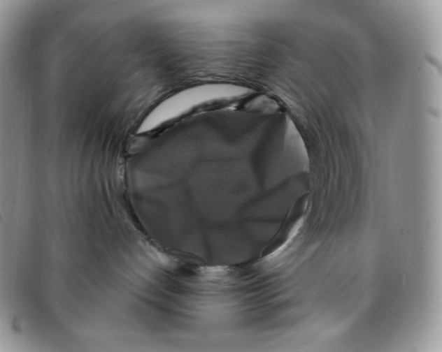 X0000095550192200801111502