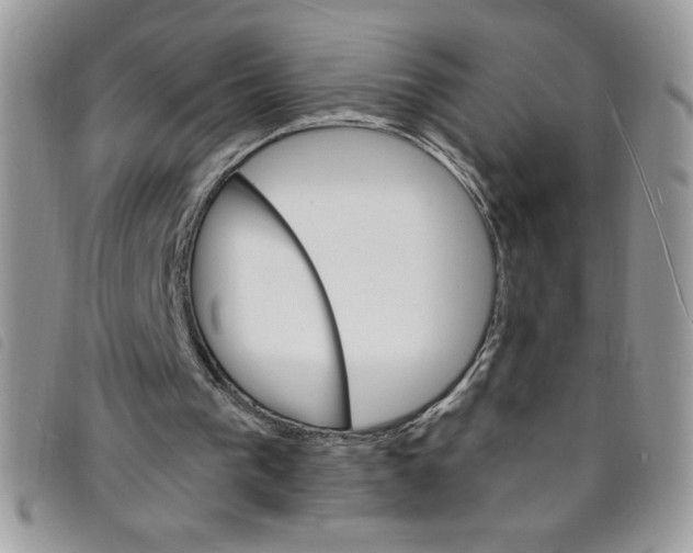 X0000095550193200801111501