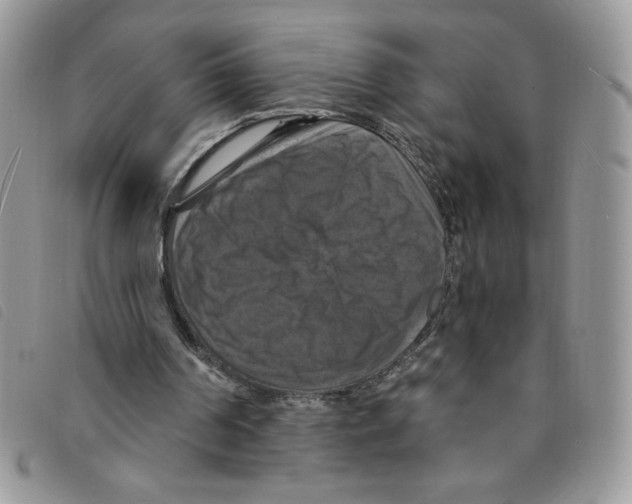 X0000095550194200801111501