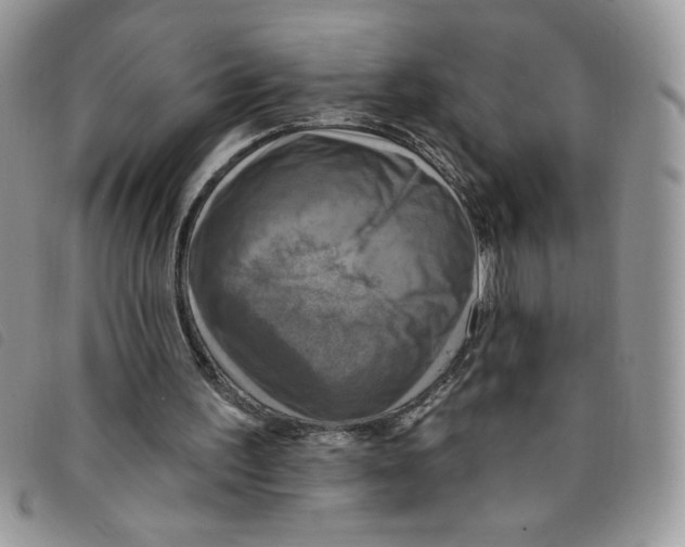 X0000095550195200801111501