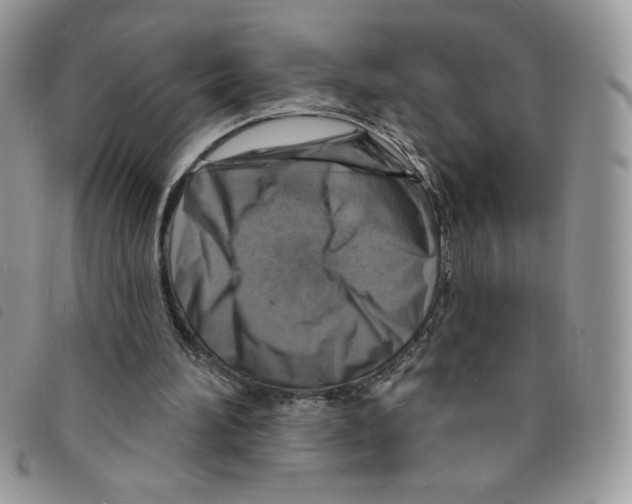 X0000095550196200801111501