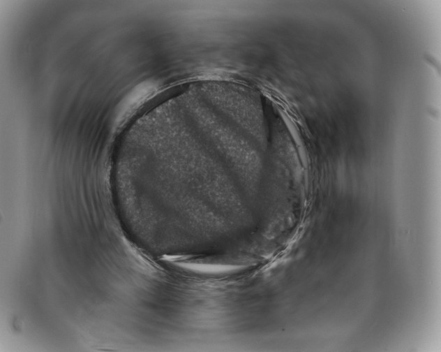 X0000095550197200801111501